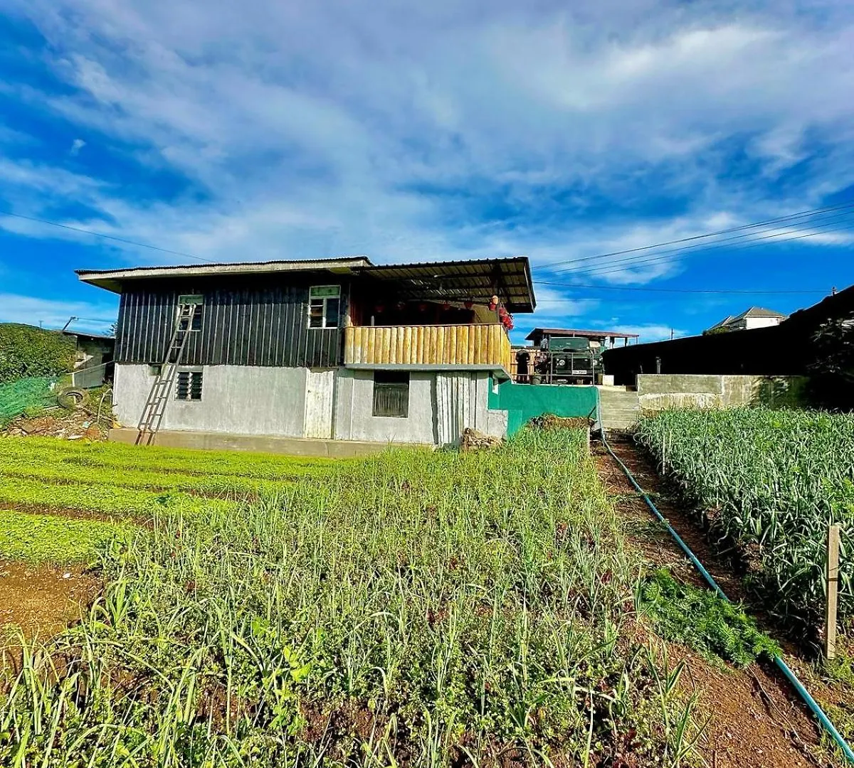 Abayavilla Nuwara Eliya Villa